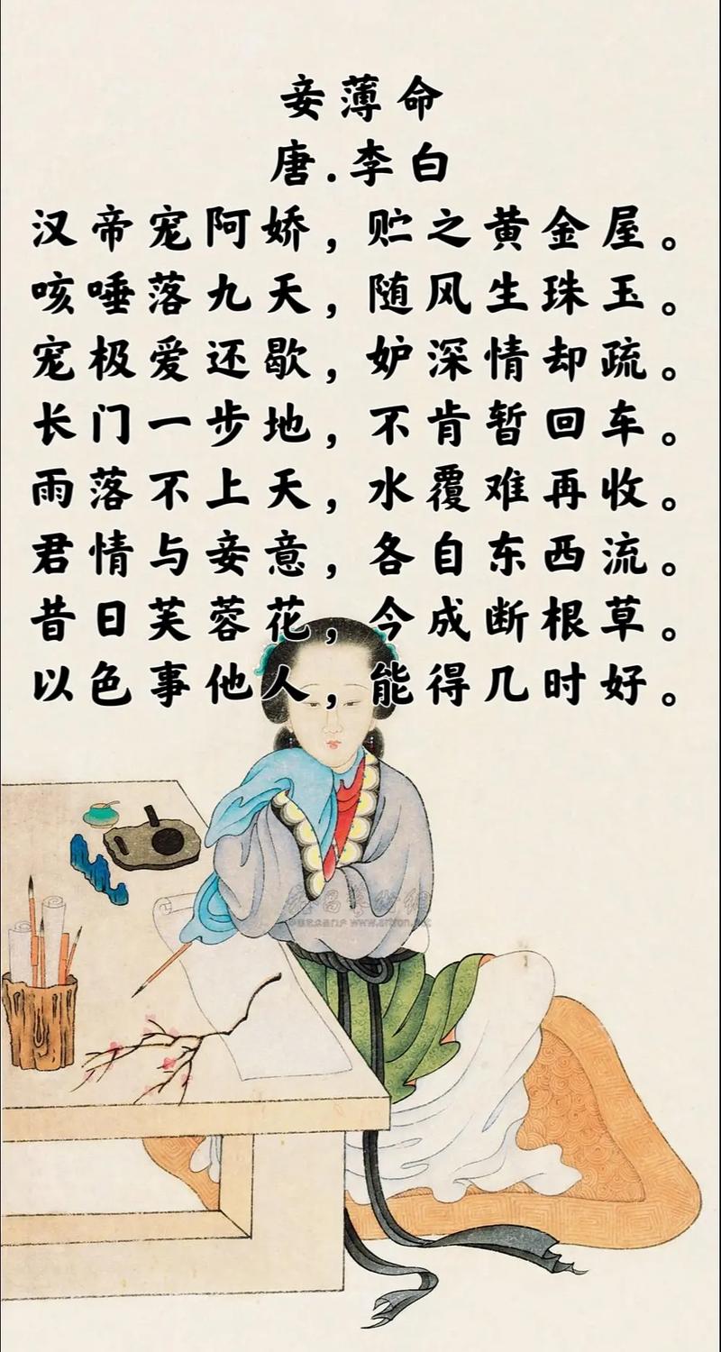 待苍颜白发，拈花伴伊坐  第1张