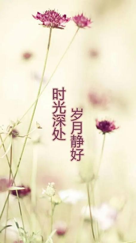 时光蹉跎  第1张