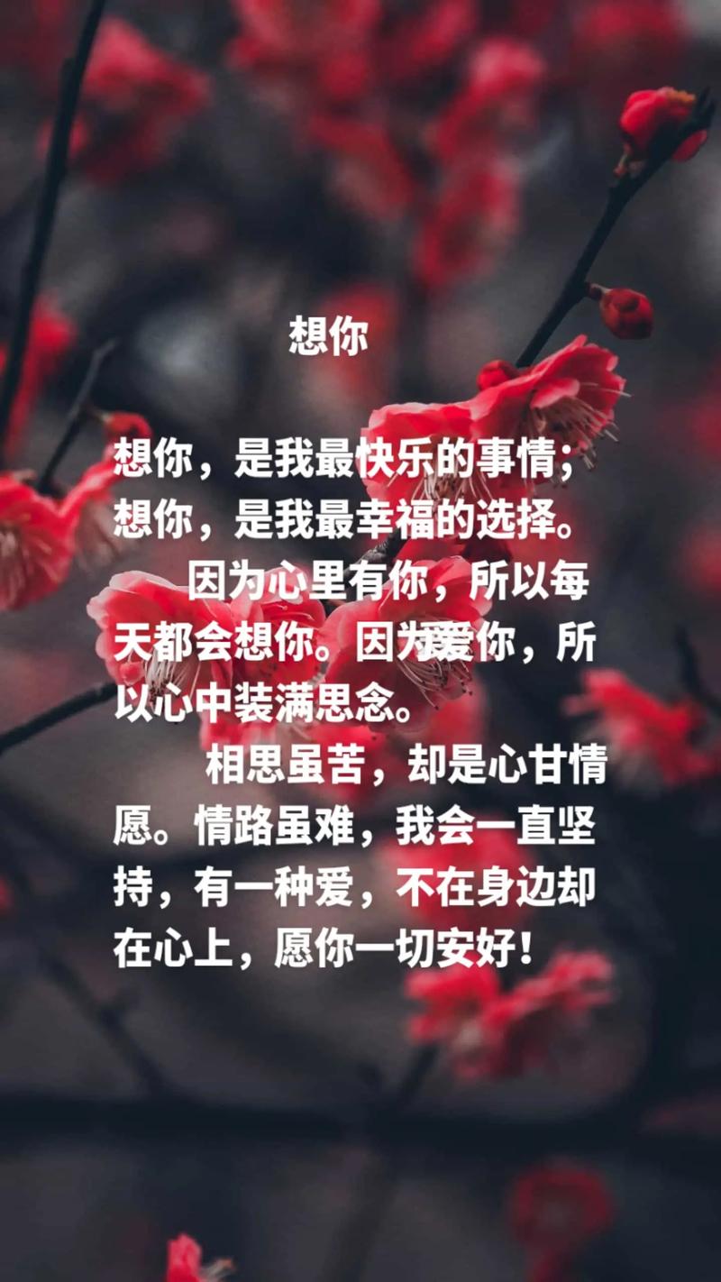 爱你想你优美句子 爱你想你优美句子短句  第1张