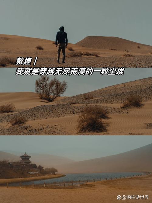 我是一颗小小的尘埃  第1张