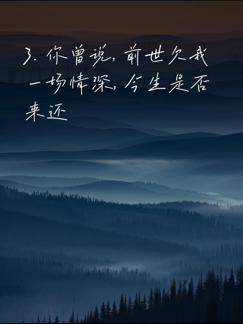 今生，你欠我一个承诺  第1张