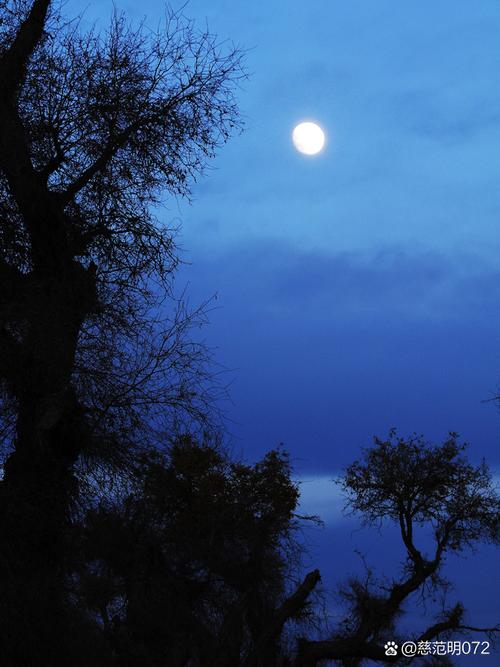 这一轮清冷的月光  第1张