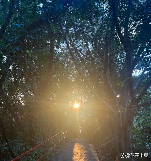 风吹过的下午  第1张