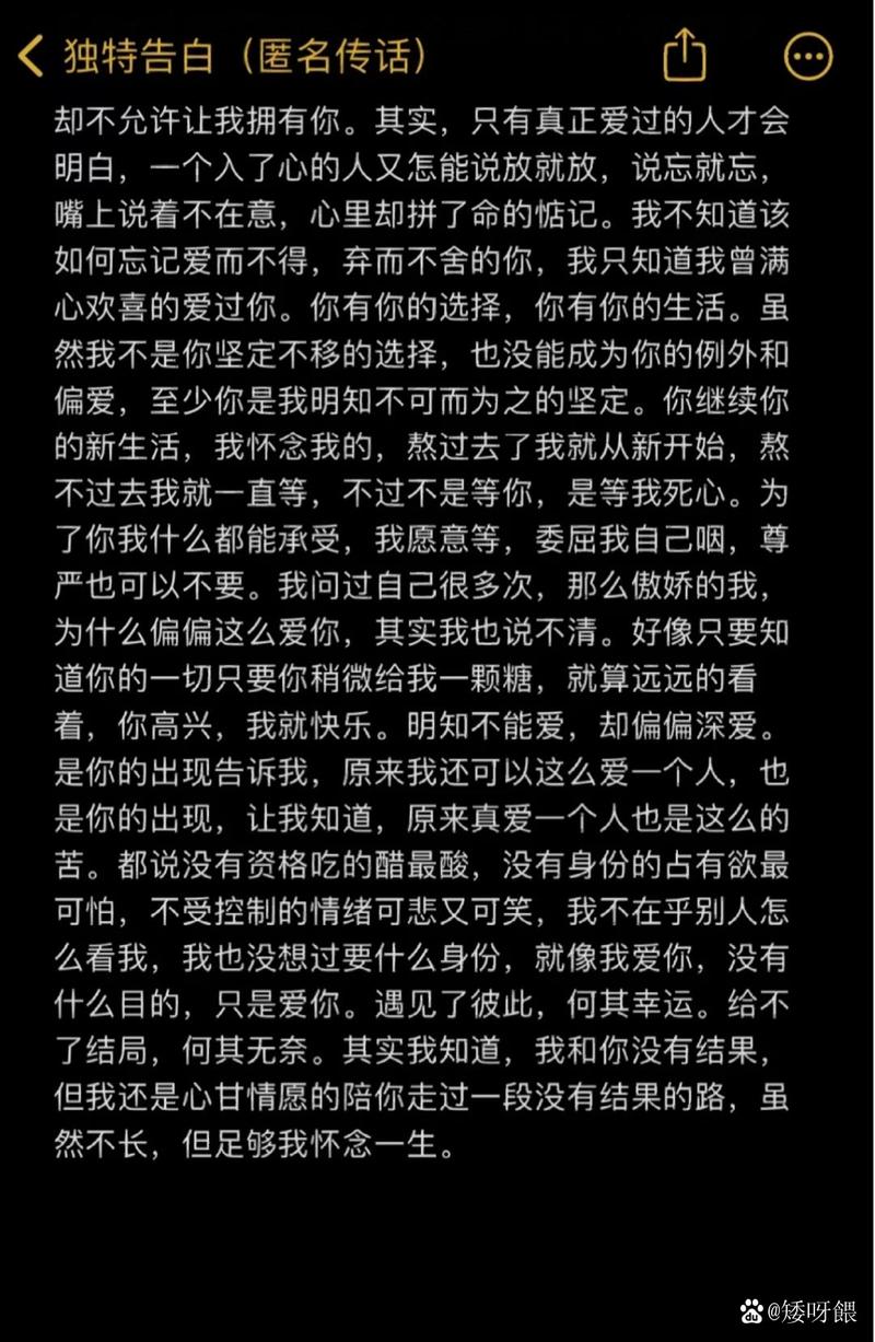 我知你所有的骄傲  第1张