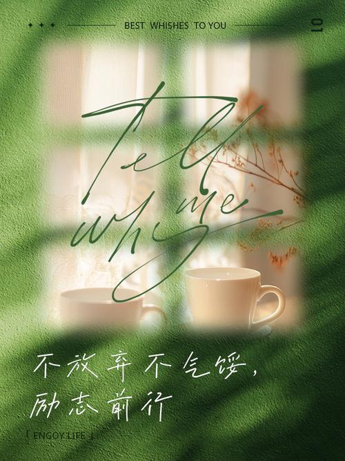 决不轻言放弃  第1张