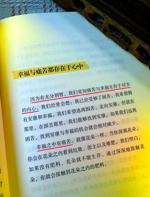 与自己讲和  第1张