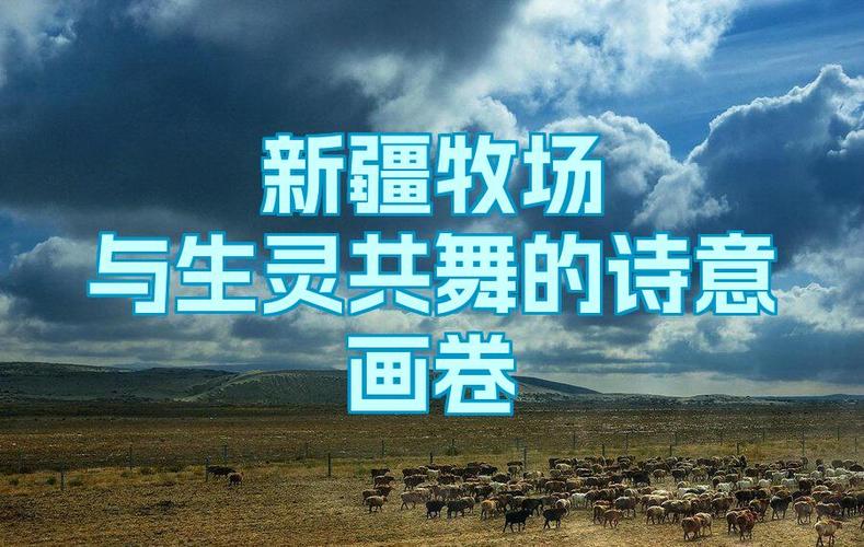 鲜活动人的生灵画卷  第1张