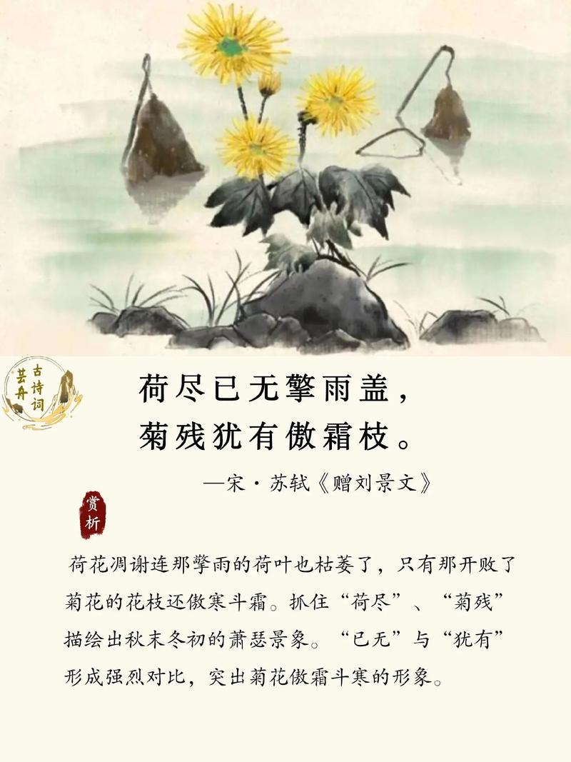 题瑞雪咏荷並荐佳文  第1张