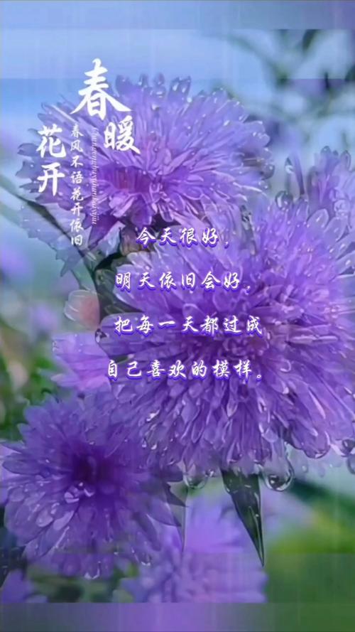 我无恙，你安好  第1张