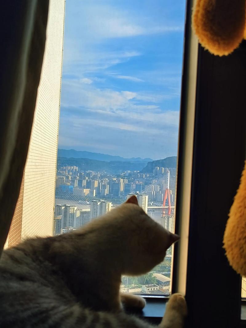 窗外的世界  第1张