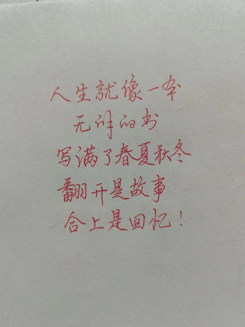 人生一页  第1张