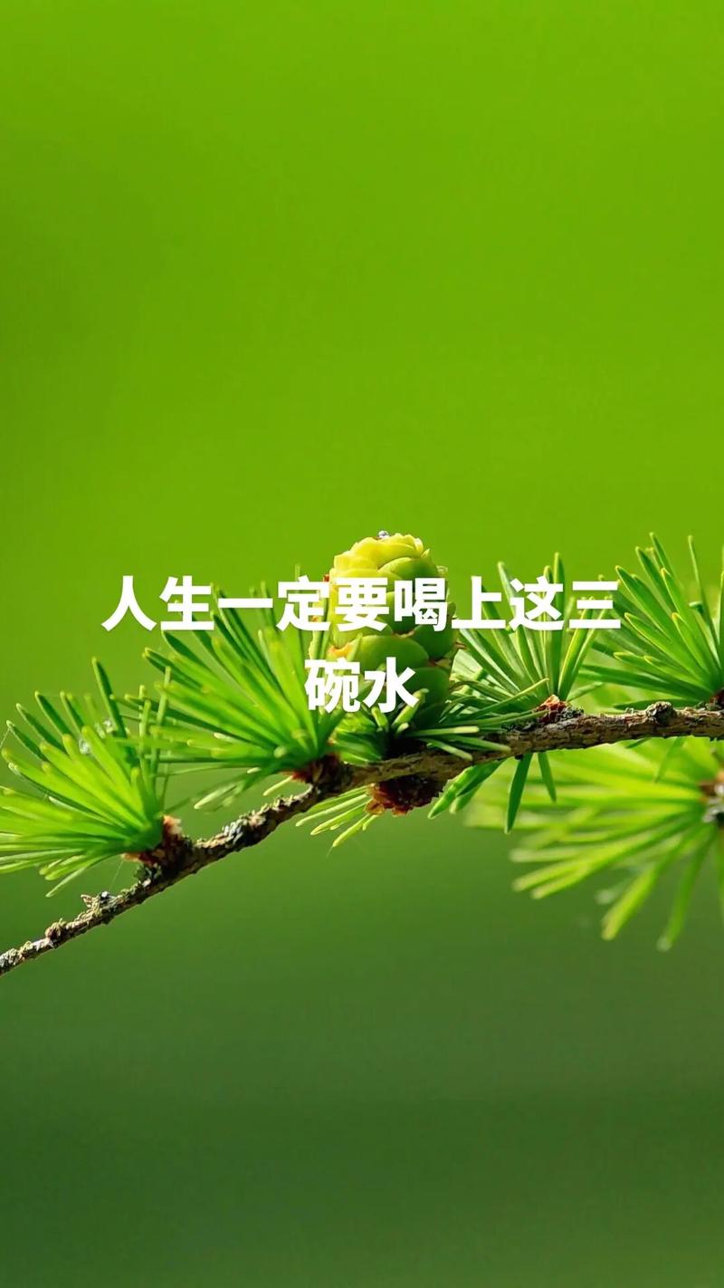 半杯水的人生  第1张