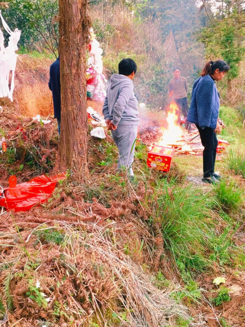 又到清明扫墓时  第1张