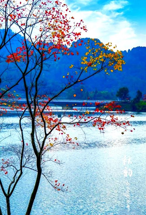 满眼秋色美如画 第1张 满眼秋色美如画 第1张