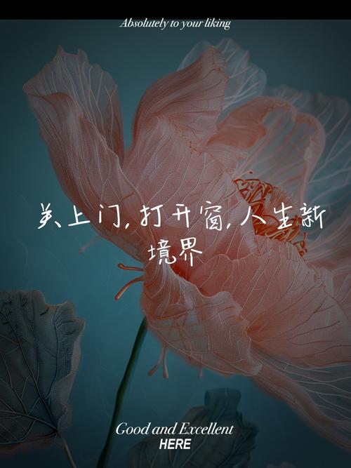 打开一扇窗  第1张