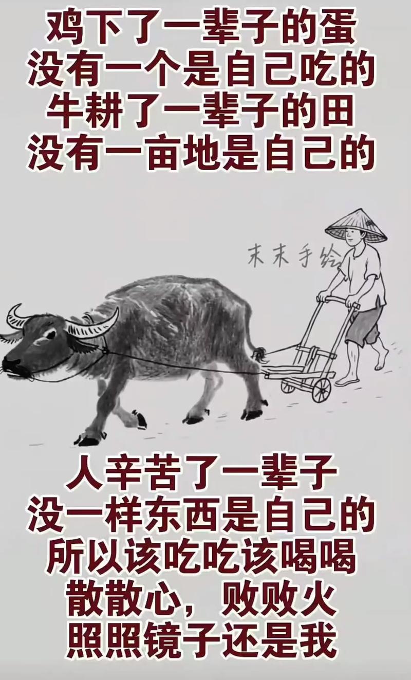 别让自己活得太累  第1张