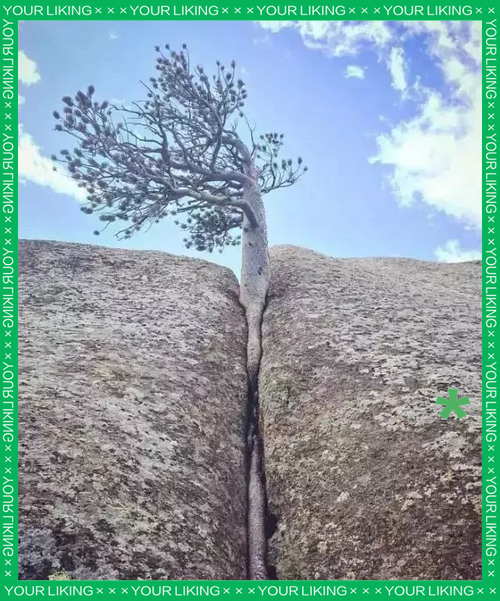 生命 第1张 生命 第1张