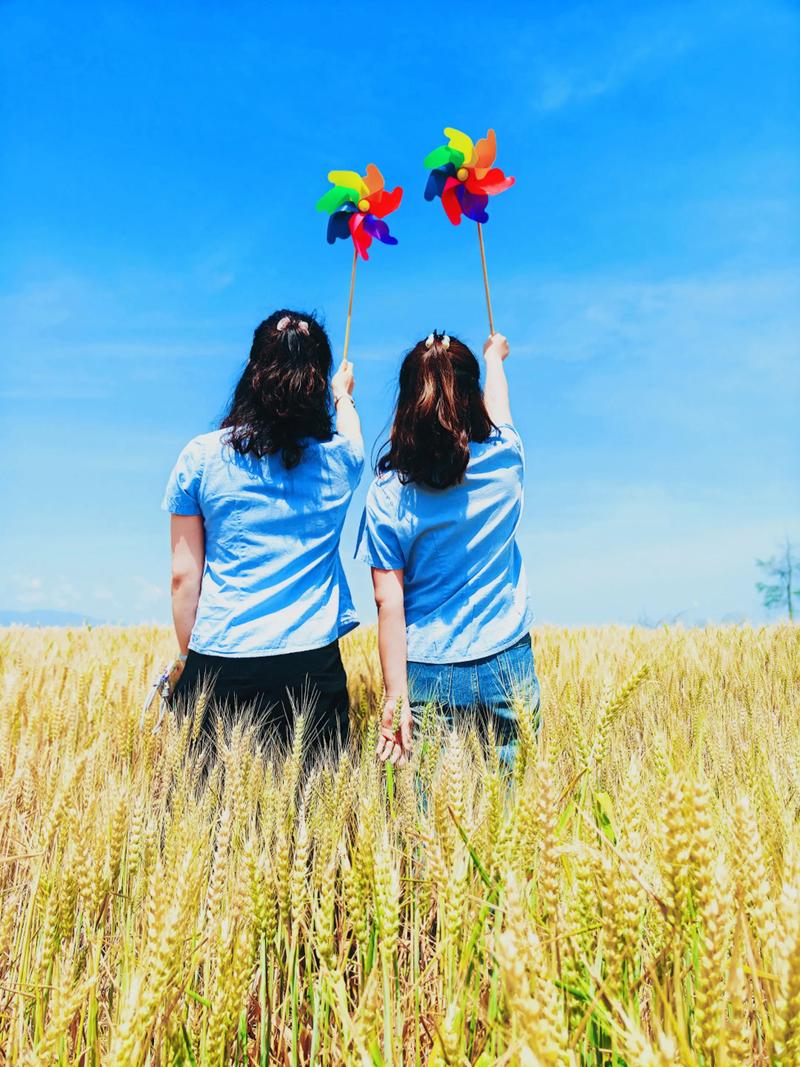 那些朝夕相处的朋友 第1张 那些朝夕相处的朋友 第1张