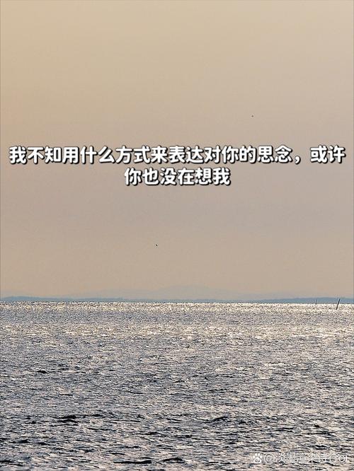 想起你才觉得自己孤独  第1张