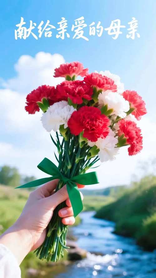 星月下的赶路——献给母亲节  第1张