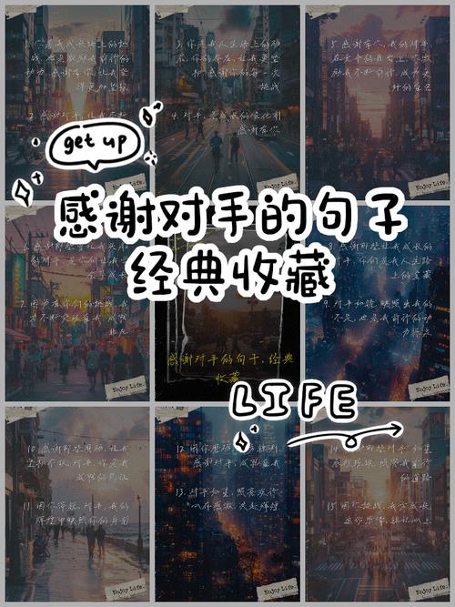 感激对手  第1张