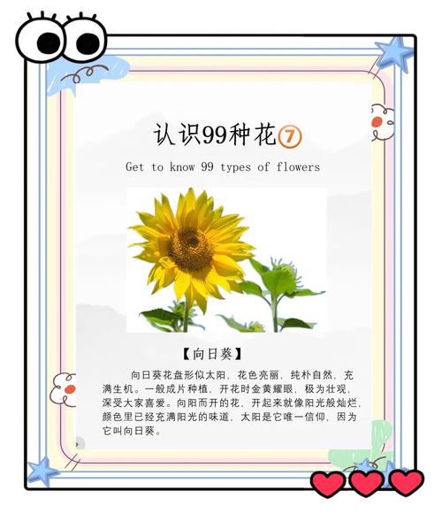 阳光的意义  第1张