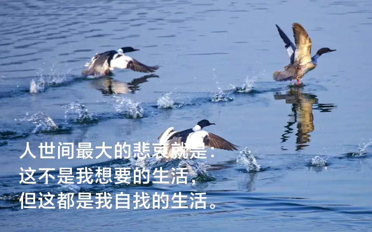 因为太怕吃亏，有时变得愚蠢  第1张