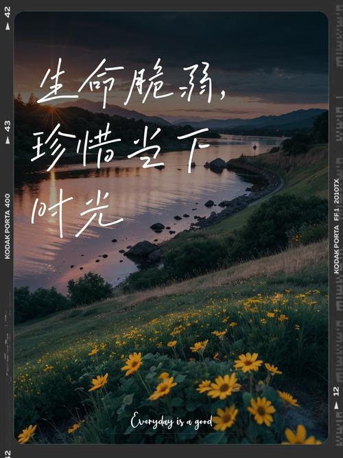 生命生命  第1张