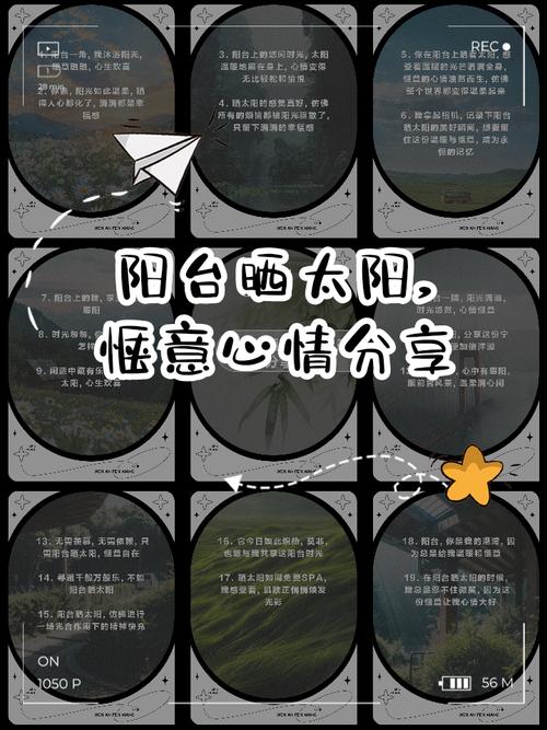 让心情晒晒太阳 第1张 让心情晒晒太阳 第1张