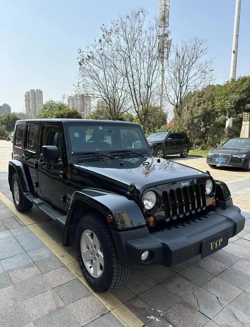 漂泊的牧马人  第1张