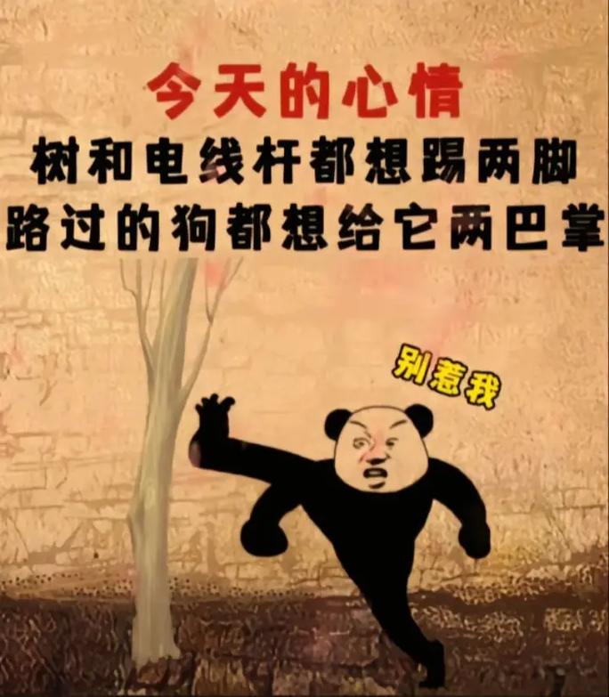 两巴掌 第1张 两巴掌 第1张