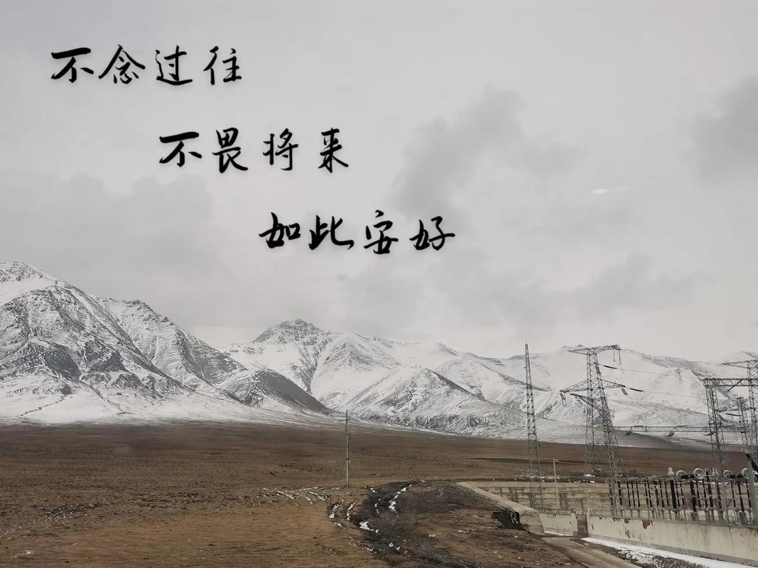 珍惜过往  第1张