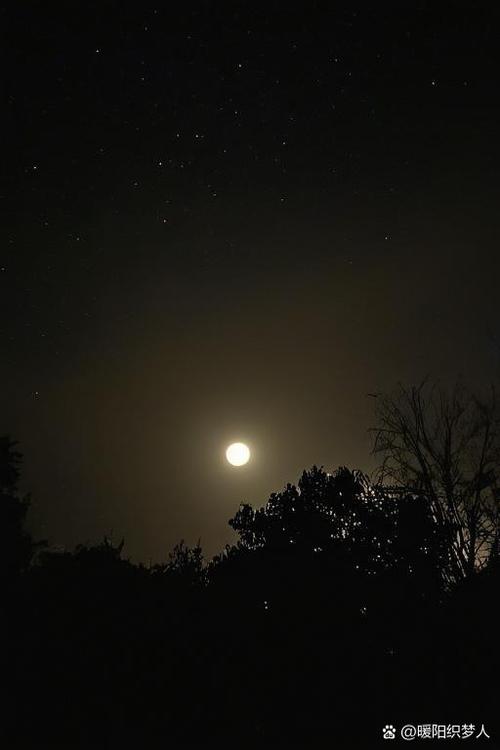 车窗外的月色  第1张