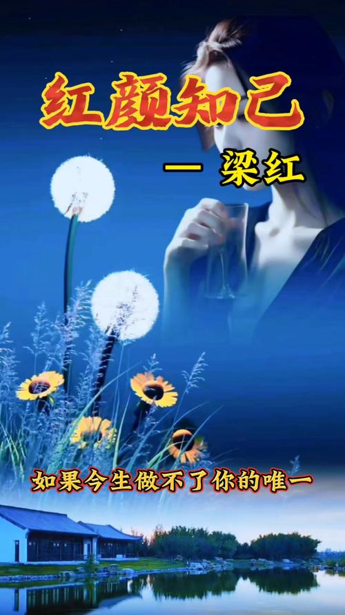 红颜、知己  第1张