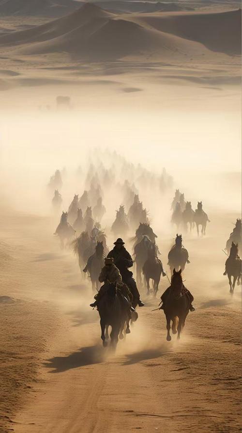 惆怅着回大漠  第1张