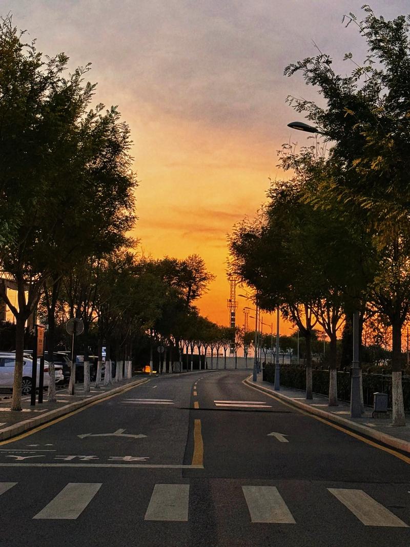 珍贵的片刻  第1张