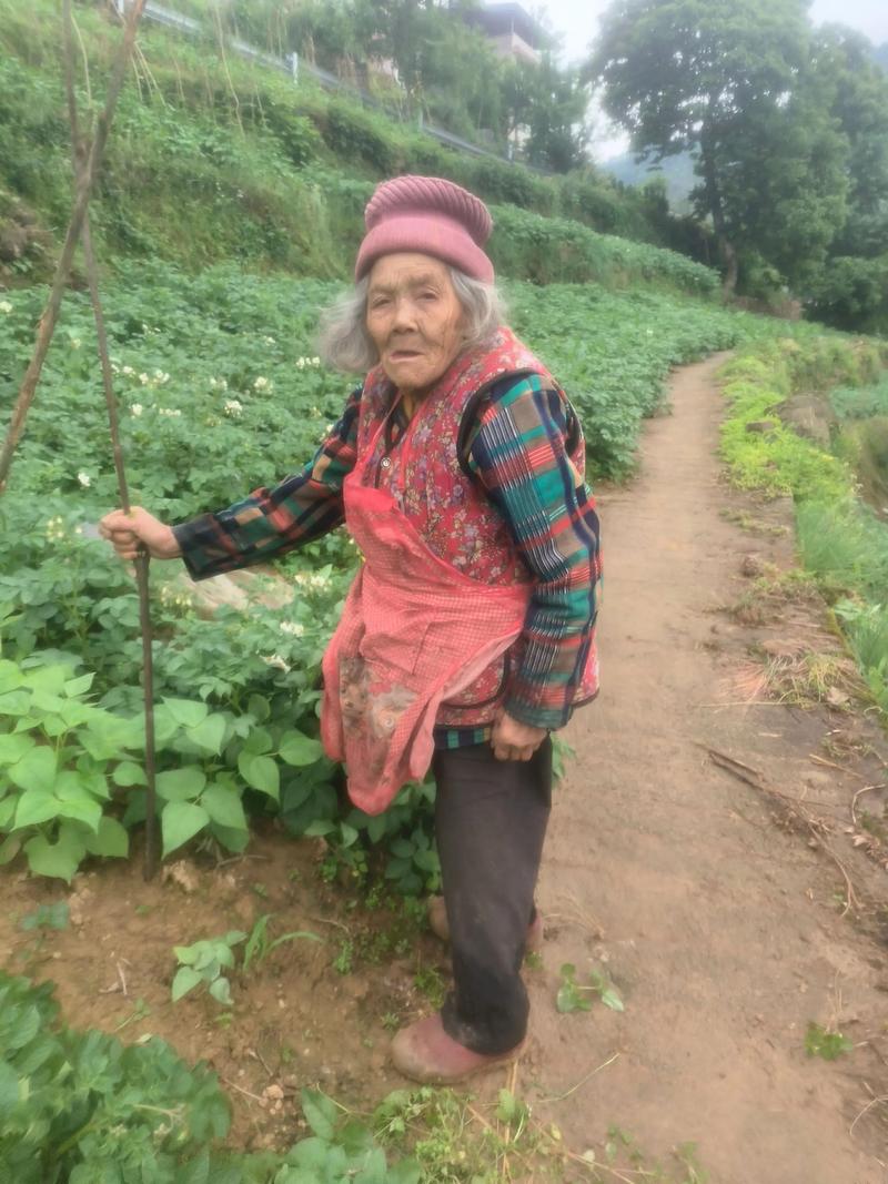 老人 第1张 老人 第1张