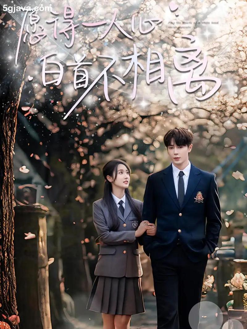 愿得一人心，白首不相离  第1张