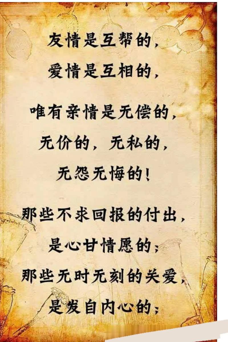 久别后的重逢  第1张