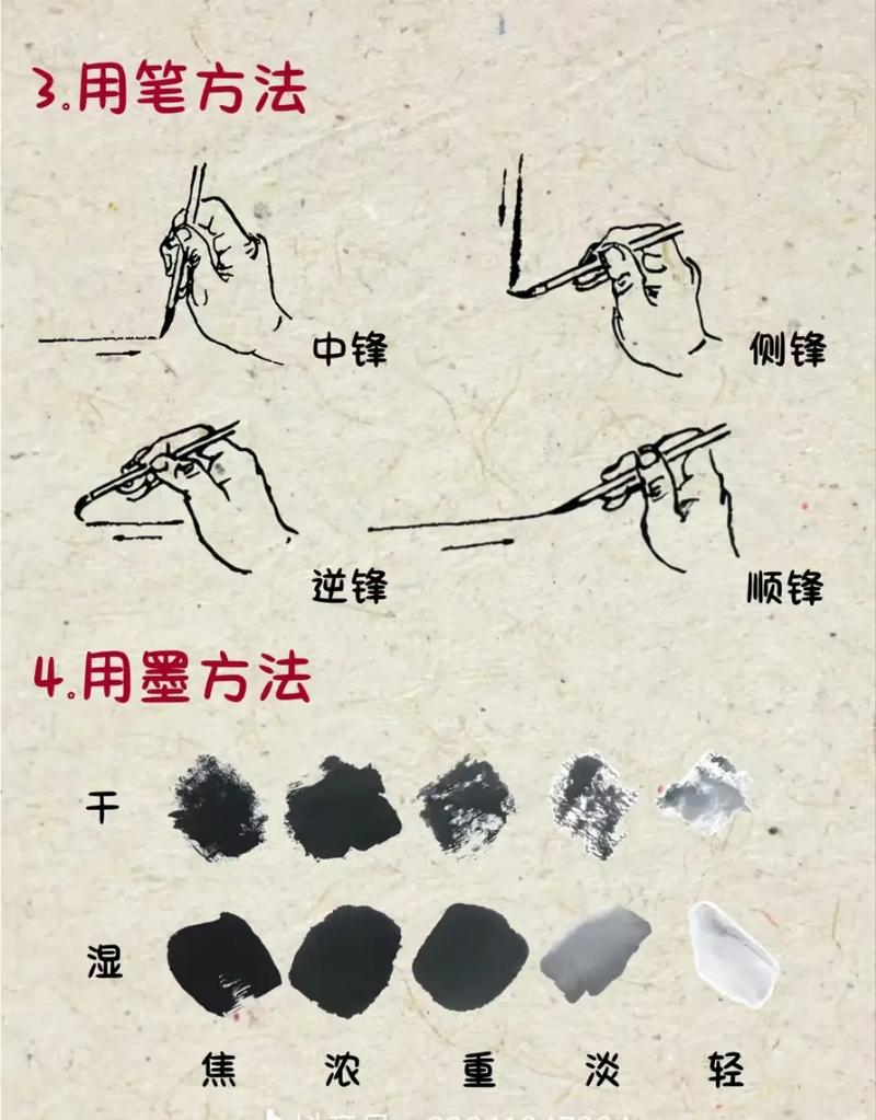 从入门开始重拾画笔  第1张