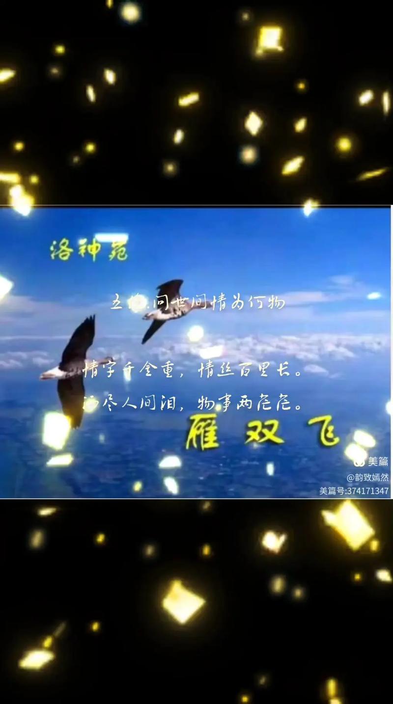 问世间，情为何物  第1张