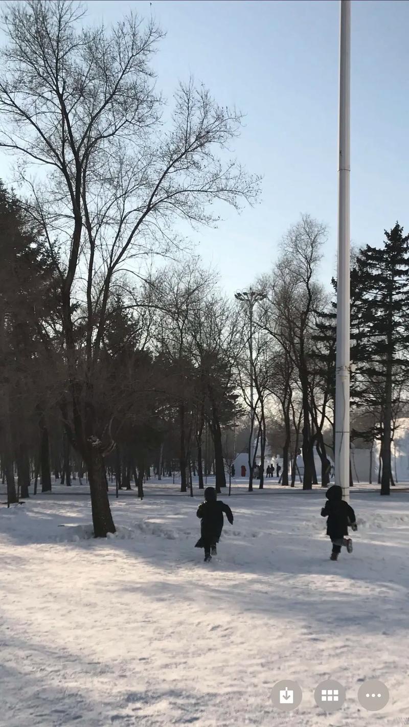 奔跑在雪地上的童年  第1张