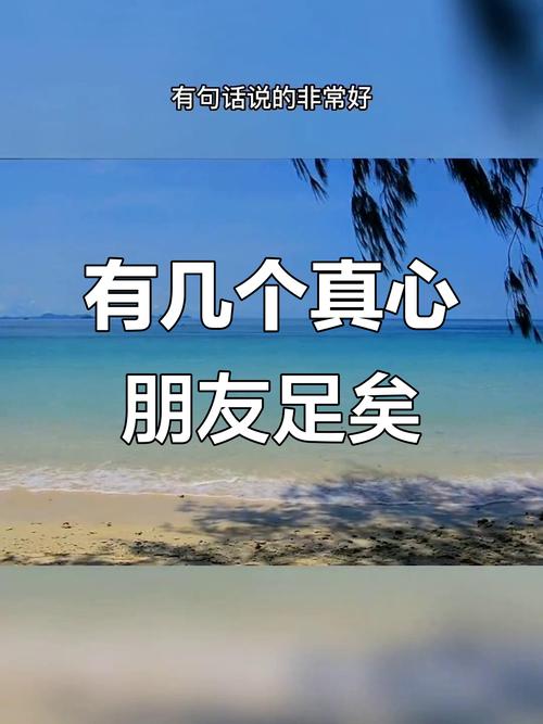 知心朋友  第1张