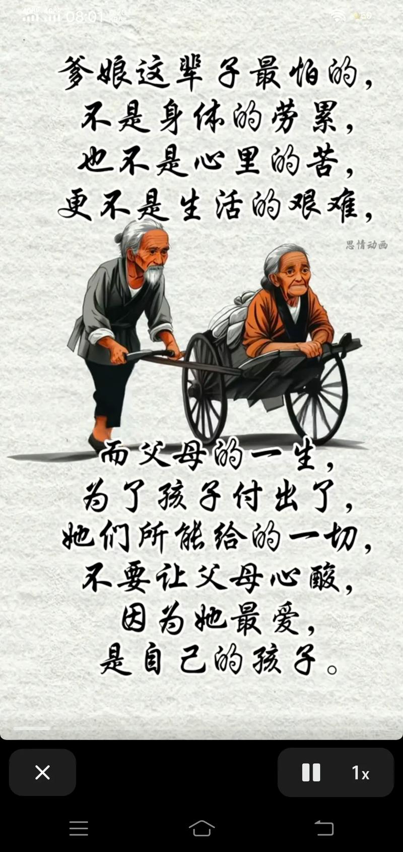 敬到父母不怕天  第1张