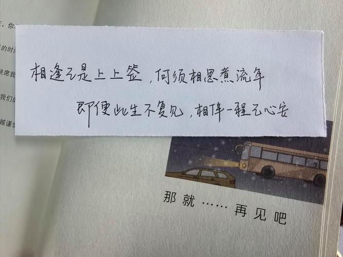 遇见你们我并未错过谁  第1张