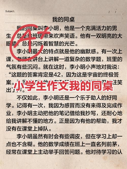 怀念我的同桌  第1张