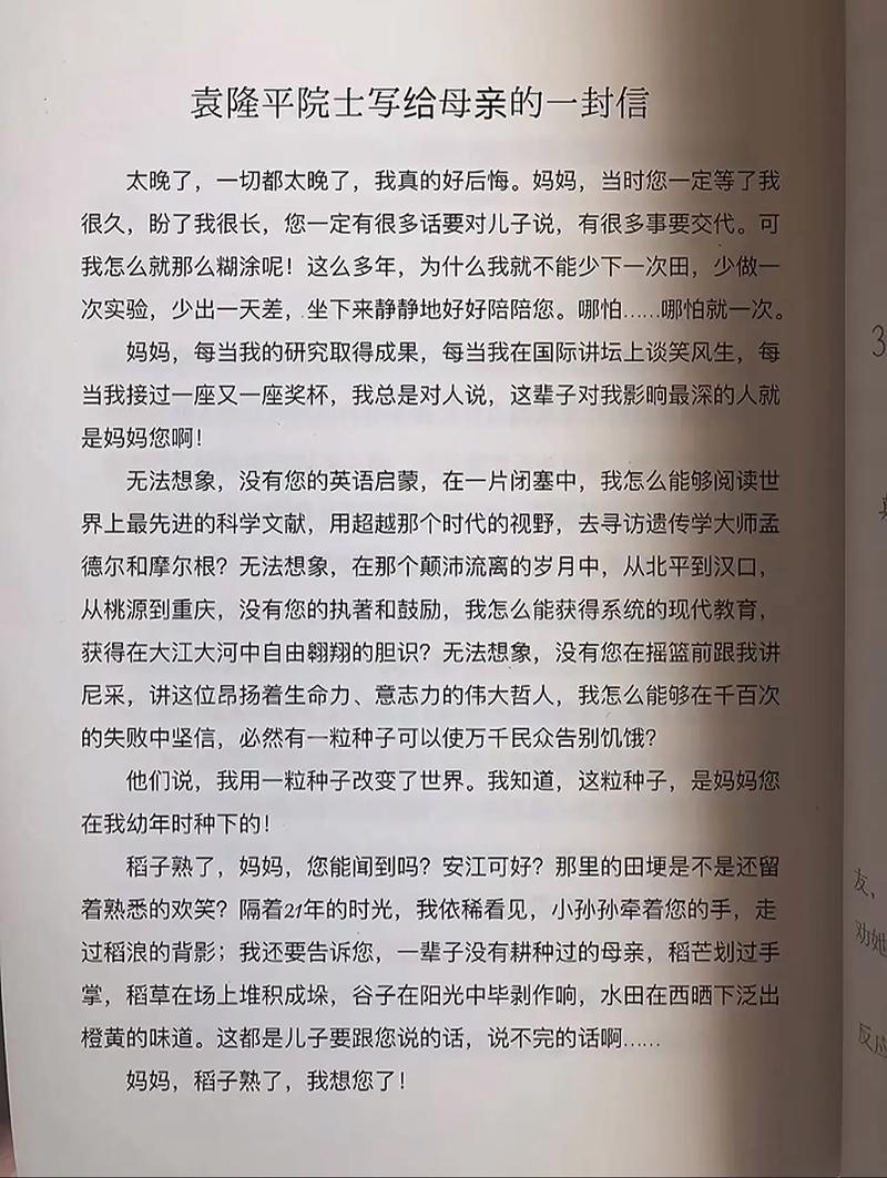 稻子熟了想起母亲  第1张