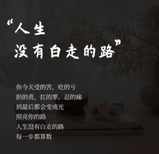 就当人生又多走了几步  第1张