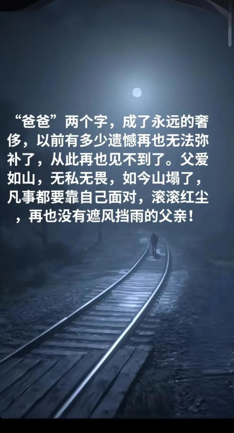 父亲骗我睡着后悄悄走了  第1张