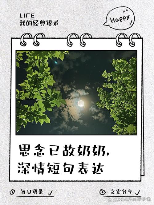 思念奶奶  第1张